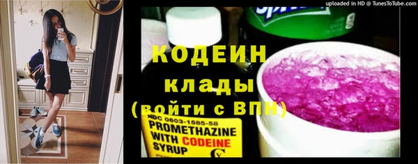 амф Снежногорск