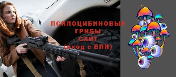 амф Снежногорск