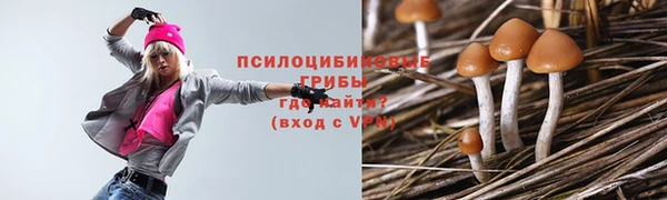 бутират Бронницы