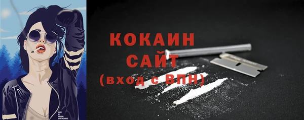 бошки Снежинск