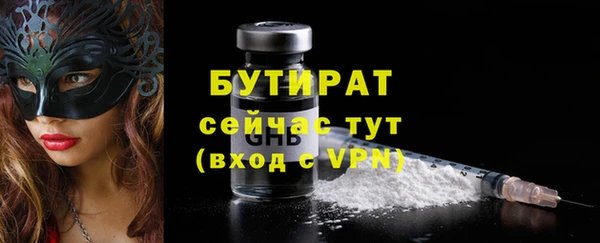 дмт Бородино