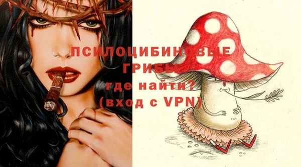 сатива Верхний Тагил