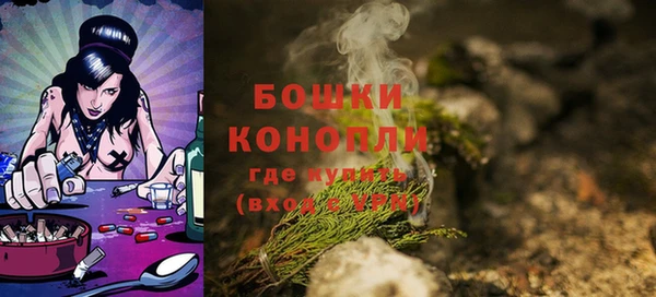 прущие грибы Слюдянка