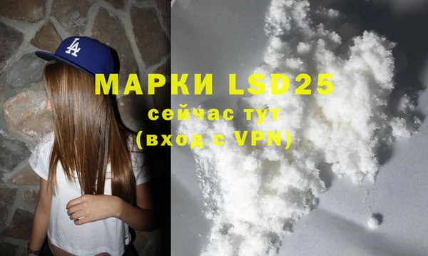 прущие грибы Слюдянка