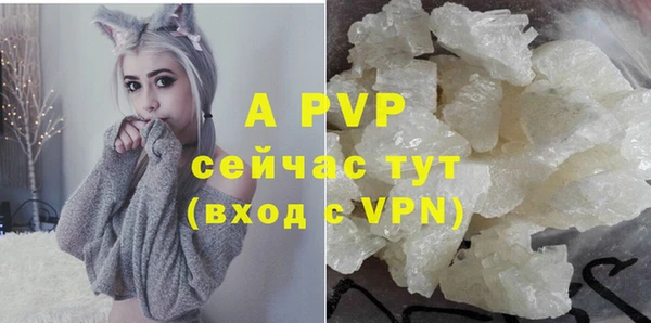 прущие грибы Слюдянка