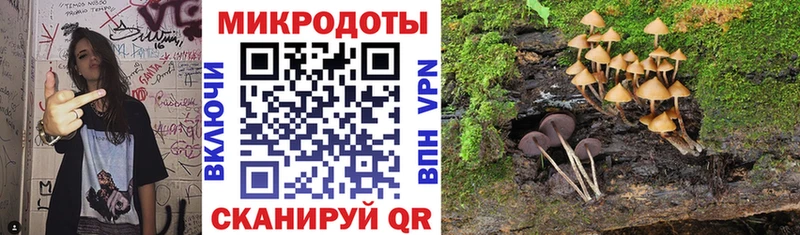 продажа наркотиков  Северобайкальск  Галлюциногенные грибы Cubensis 