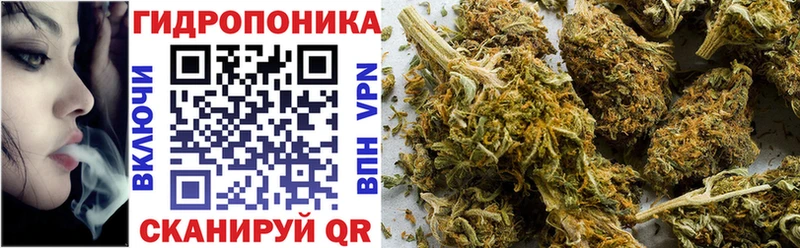 купить закладку Северобайкальск Шишки марихуана сатива